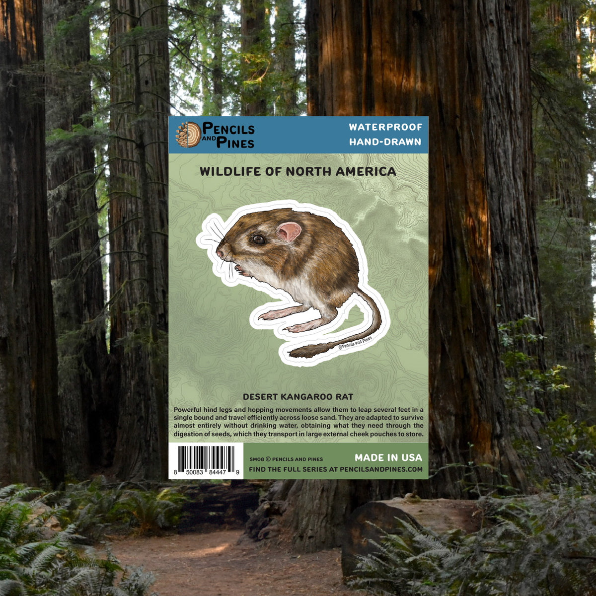 Desert Kangaroo Rat Sticker