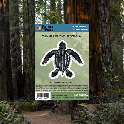 Leatherback Sea Turtle Sticker