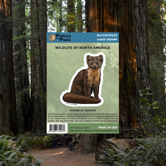 Humboldt Marten Sticker