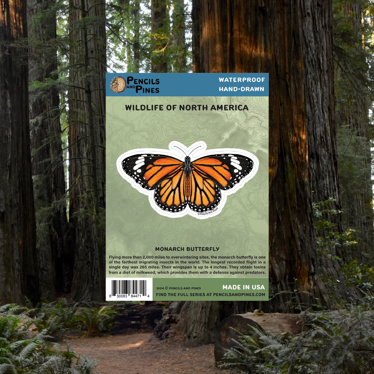 Monarch Butterfly Sticker