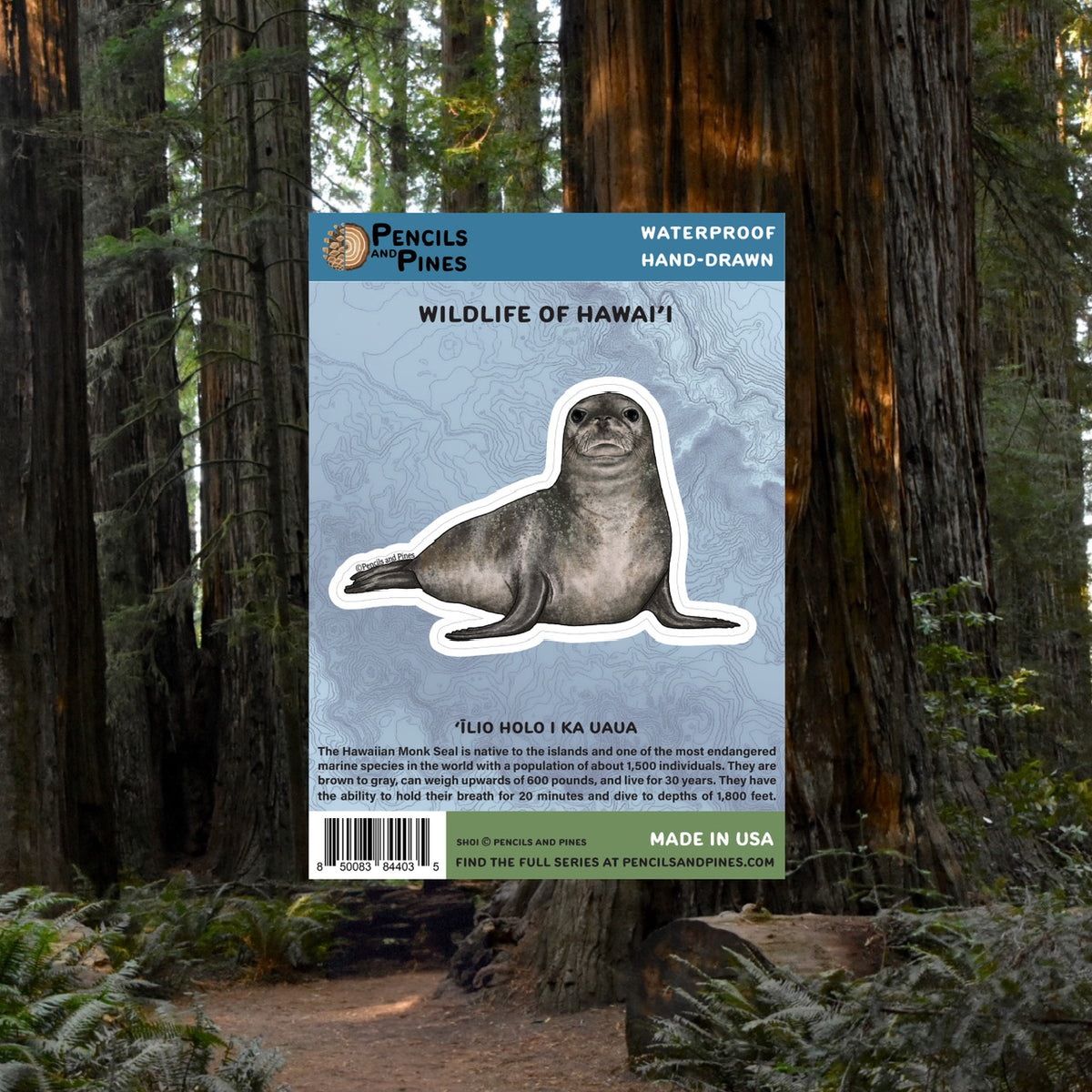 Hawaiian Monk Seal Sticker