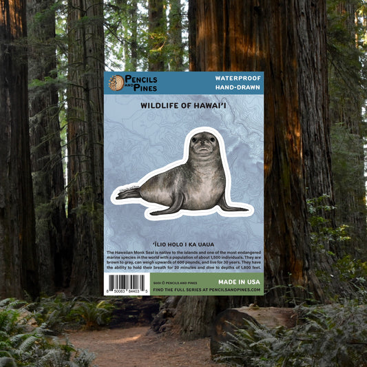 Hawaiian Monk Seal Sticker