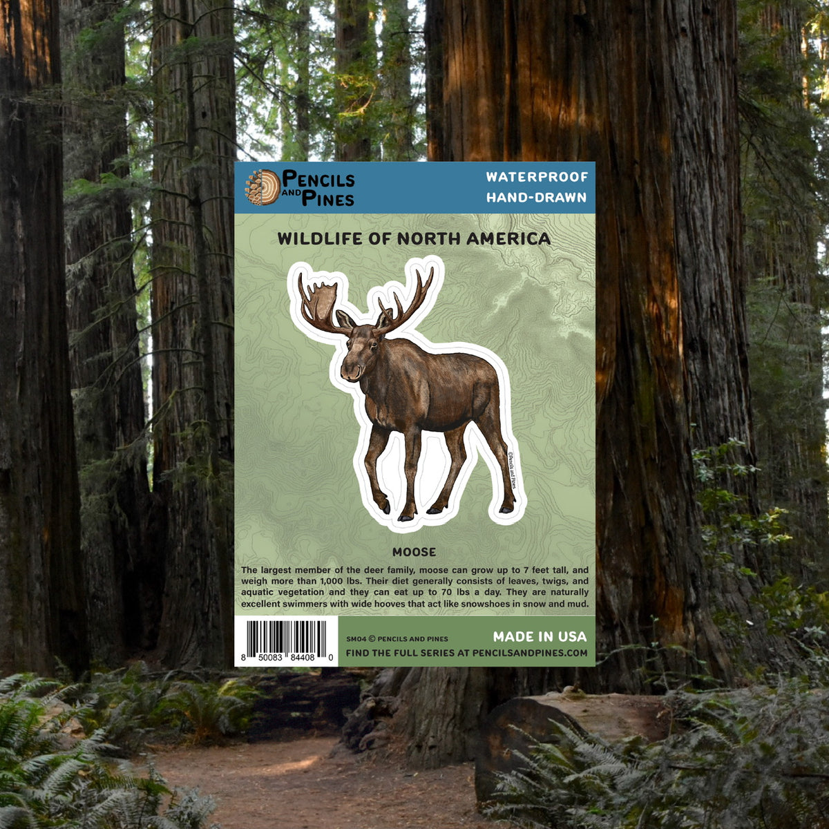 Moose Sticker
