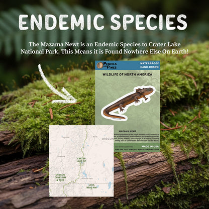 Mazama Newt Sticker