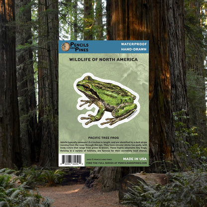Pacific Tree Frog Sticker