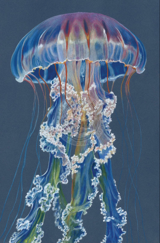 Iridescence Original