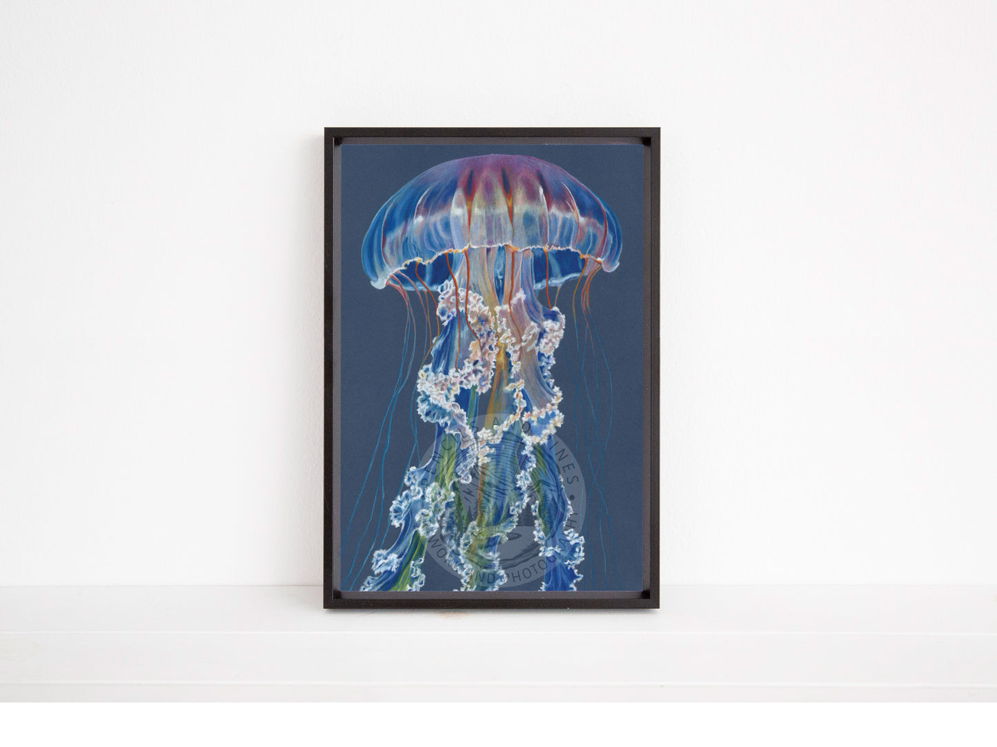 Iridescence - Open Edition Print