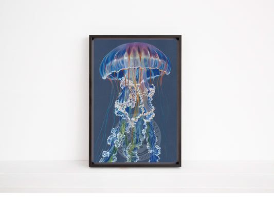 Iridescence - Open Edition Print