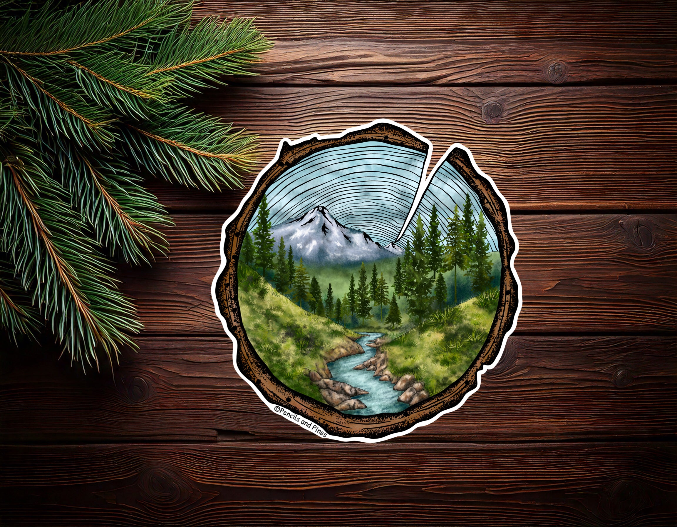 Tree Rings Sticker – Pencils and Pines