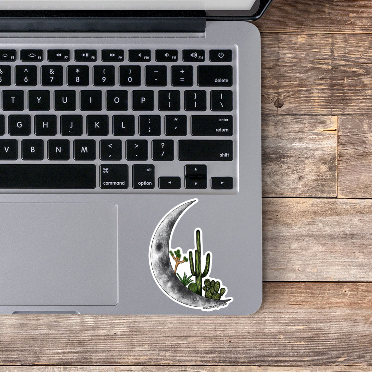 Cactus Moon Sticker