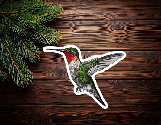Ruby-Throated Hummingbird Sticker