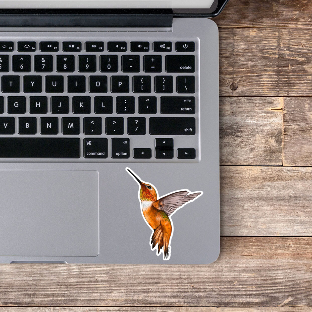 Rufous Hummingbird Sticker