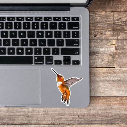 Rufous Hummingbird Sticker