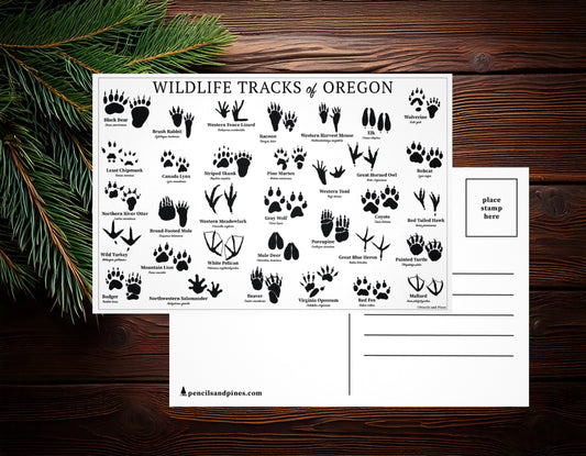Wildlife Tracks of Oregon Postcard