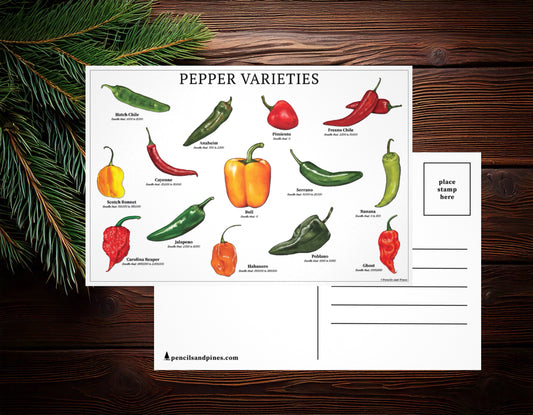 Pepper Varieties Postcard