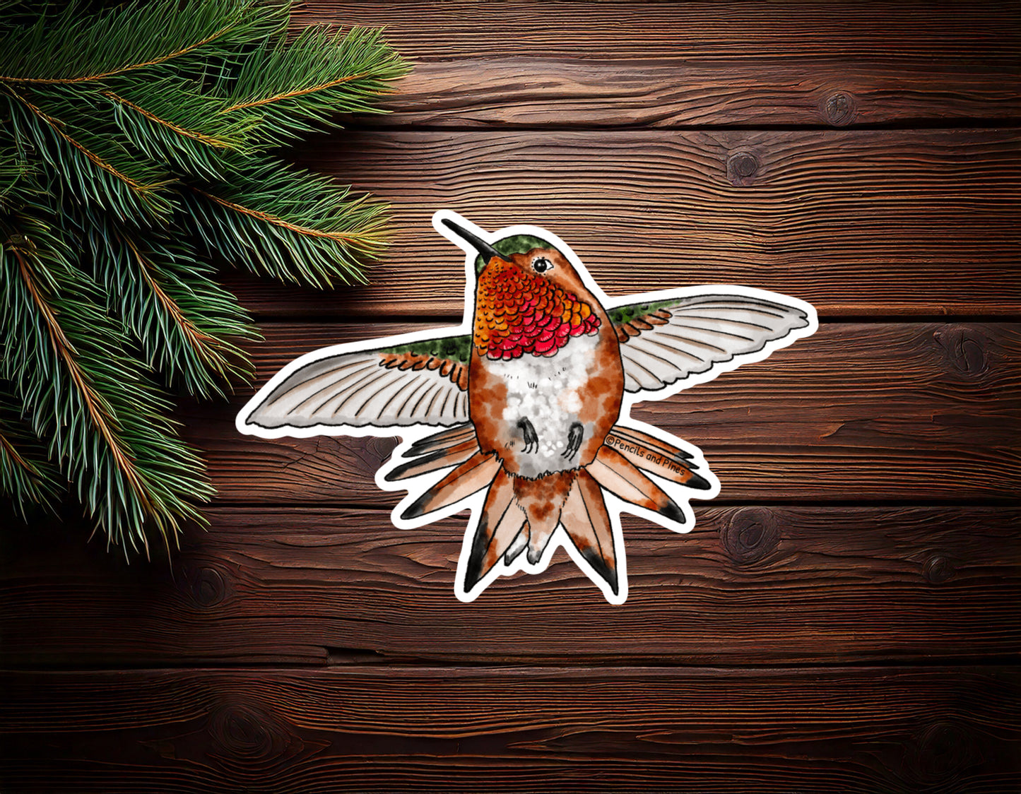 Allen’s Hummingbird Sticker