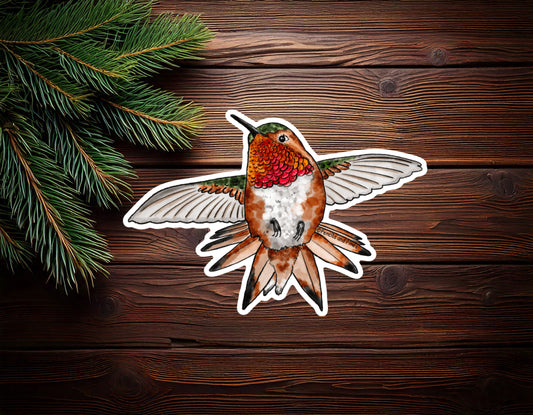 Allen’s Hummingbird Sticker