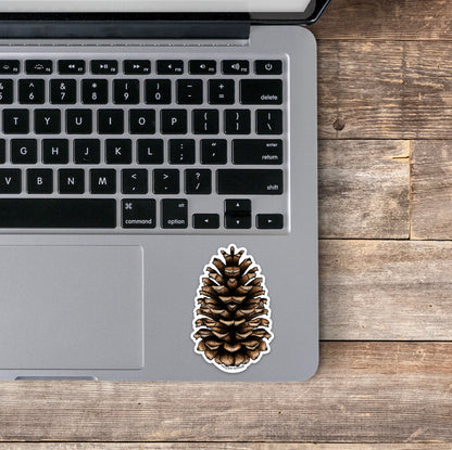 Pinecone Sticker