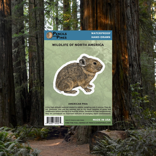 American Pika Sticker
