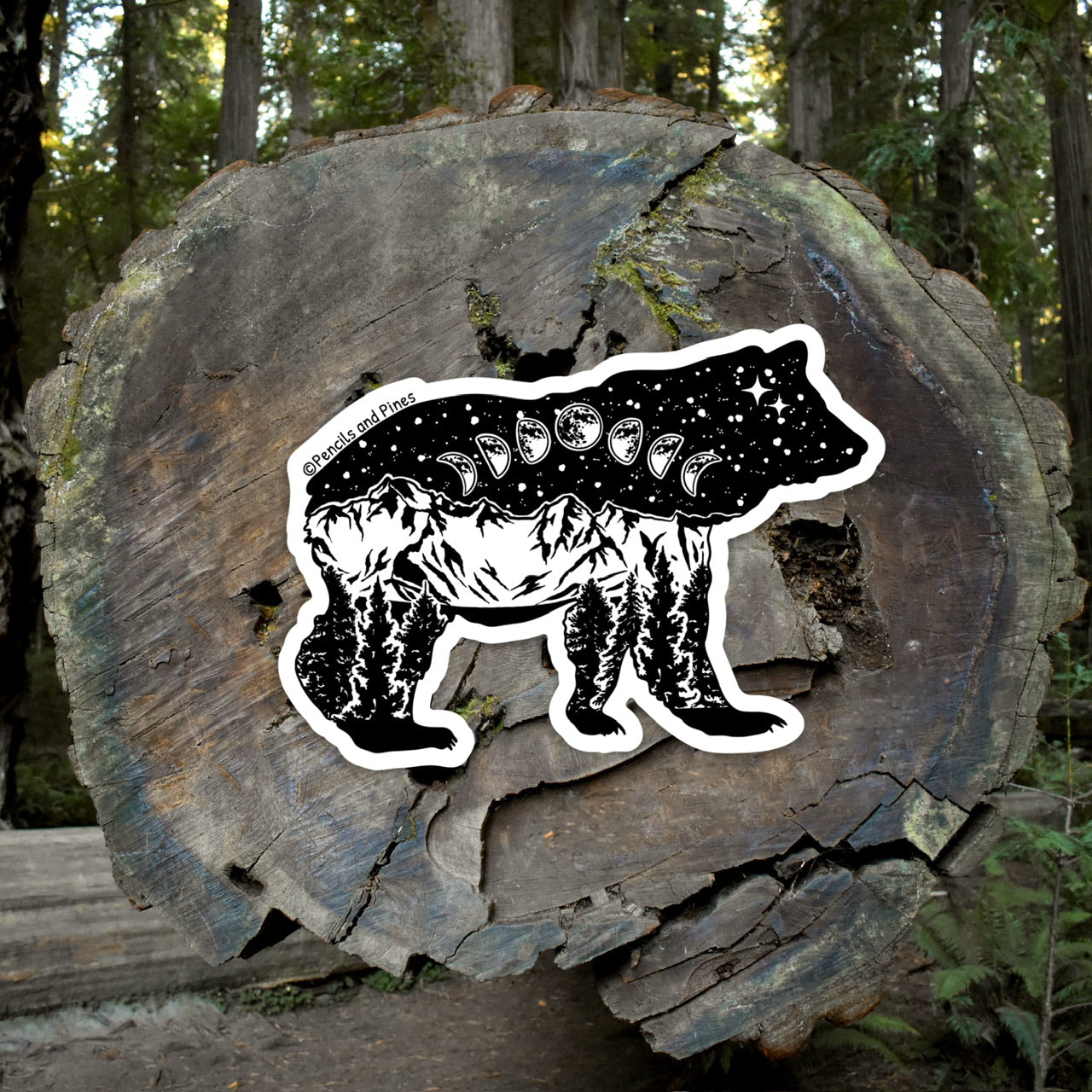 Moon Phases Bear Sticker