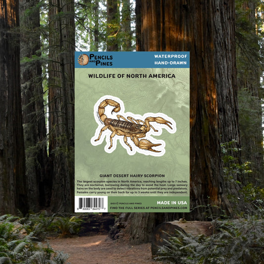 Giant Desert Hairy Scorpion Sticker