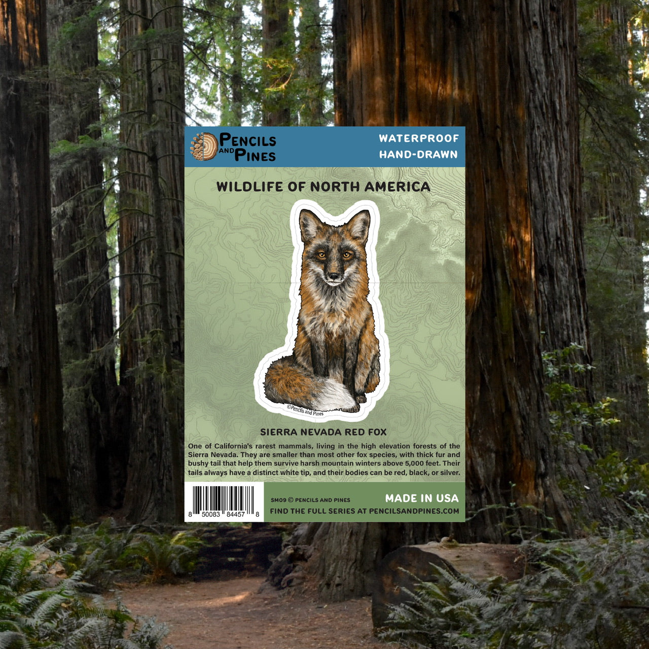 Sierra Nevada Red Fox Sticker