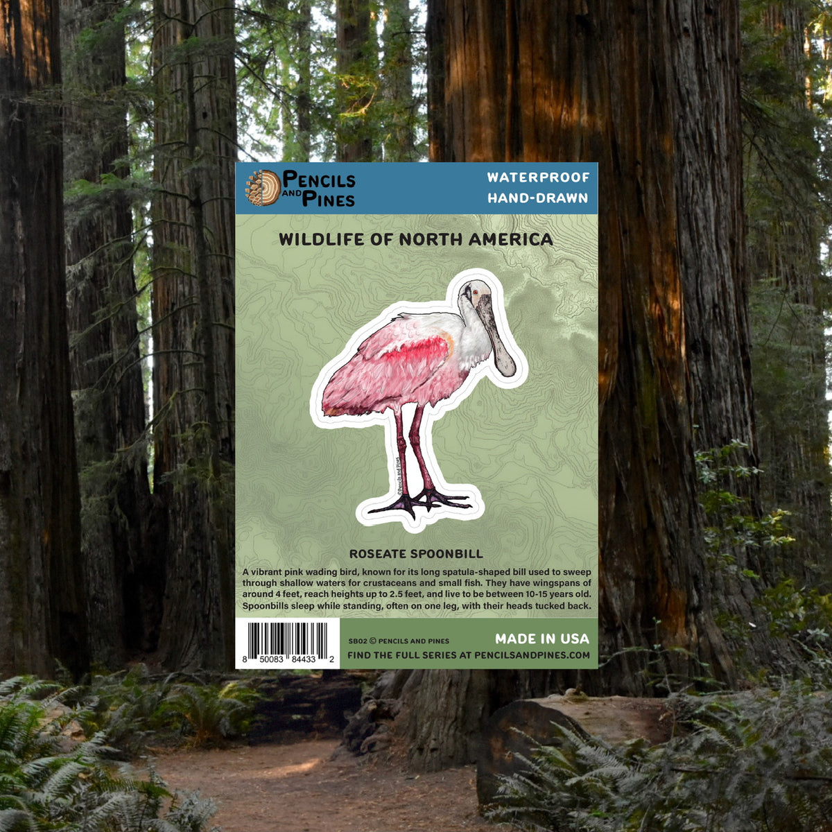 Roseate Spoonbill Sticker