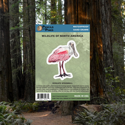 Roseate Spoonbill Sticker