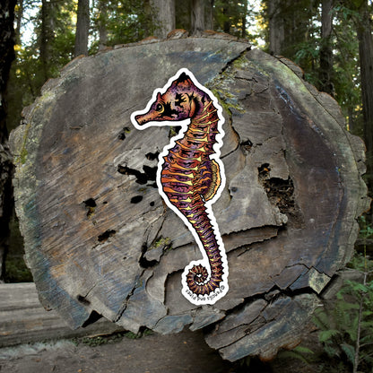 Seahorse Sticker