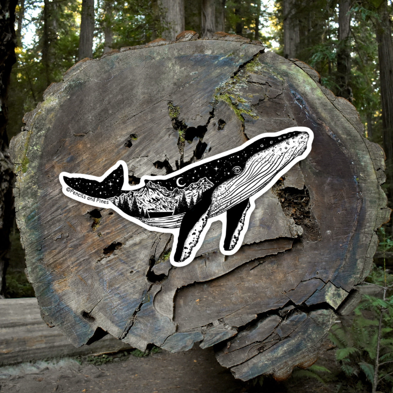Humpback Whale Sticker
