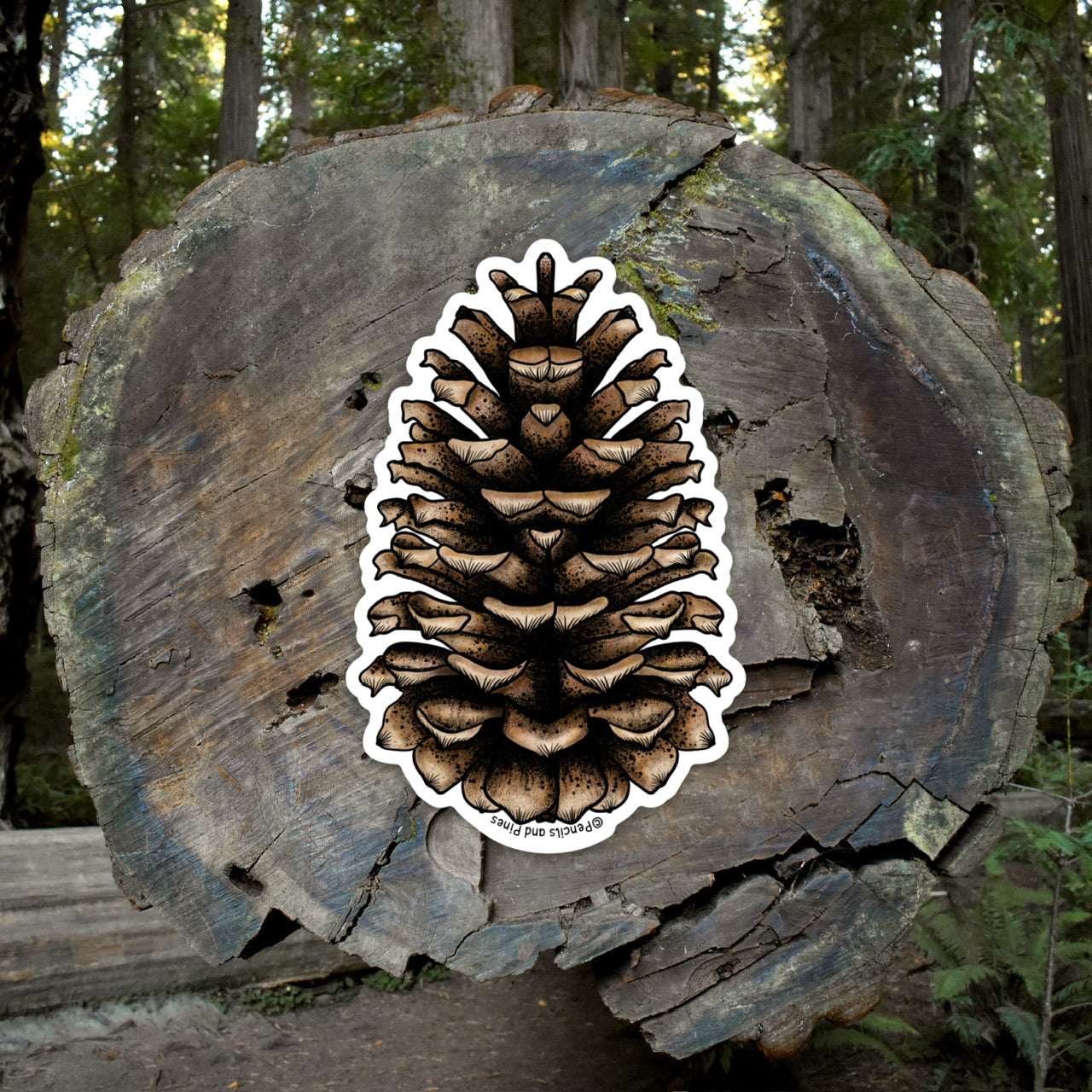 Pinecone Sticker