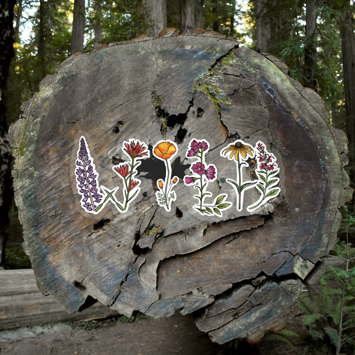 WILD Wildflower Sticker