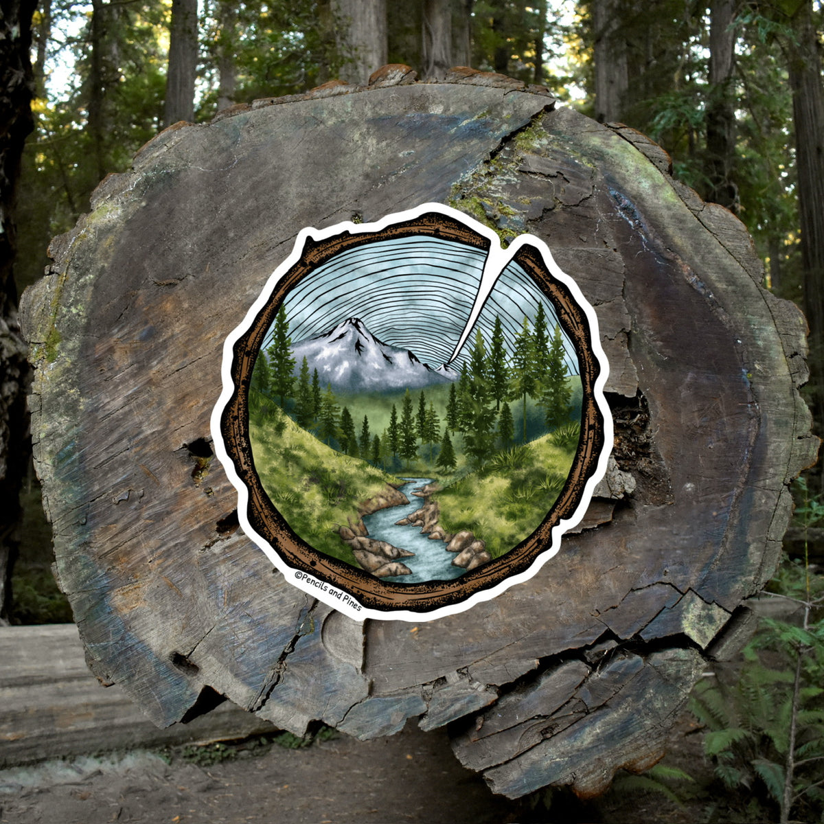 Tree Rings Sticker