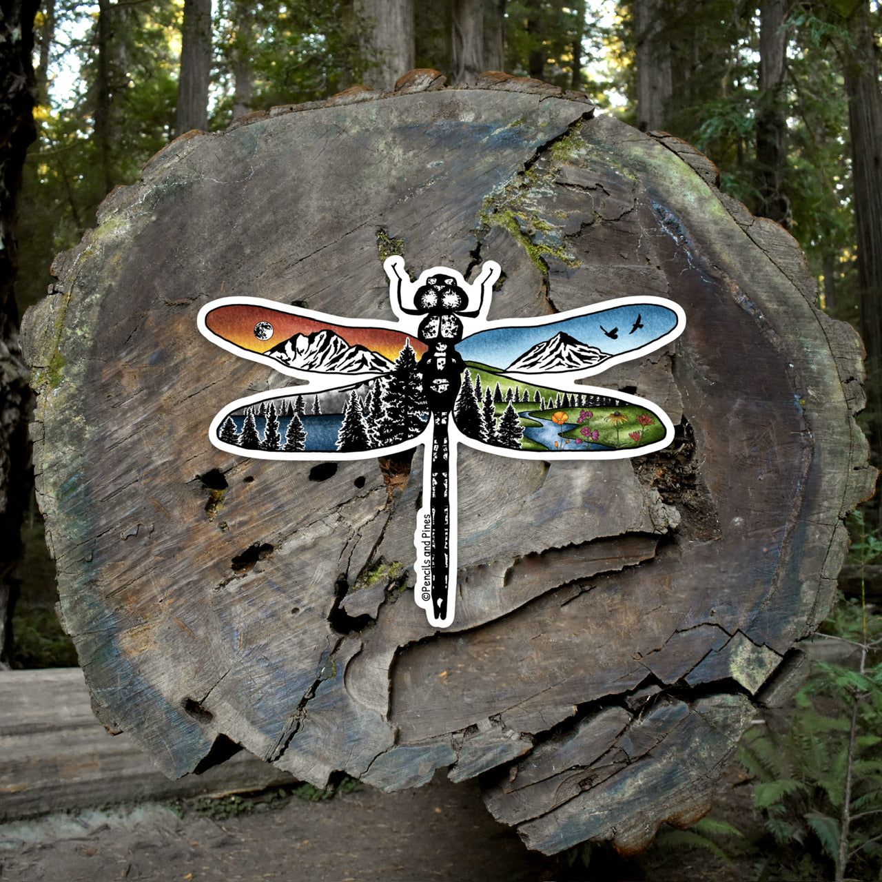 Dragonfly Sticker
