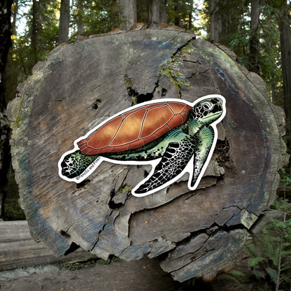 Sea Turtle Sticker