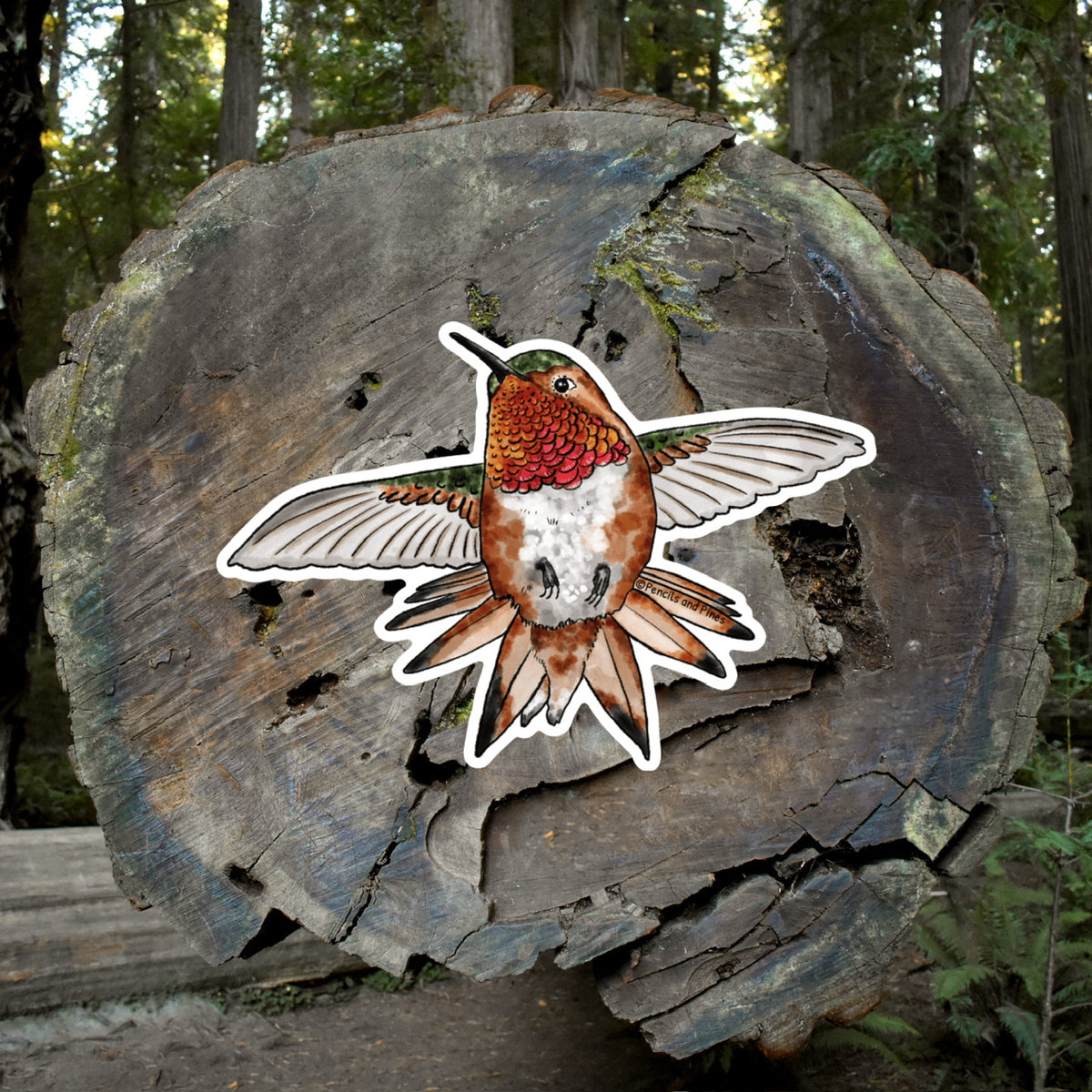 Allen’s Hummingbird Sticker