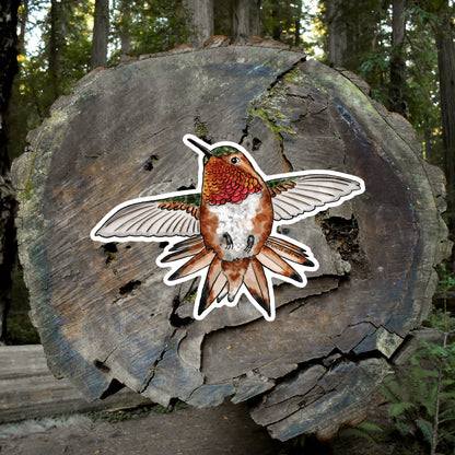 Allen’s Hummingbird Sticker