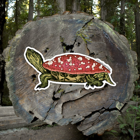 Mushroom Turtle Sticker