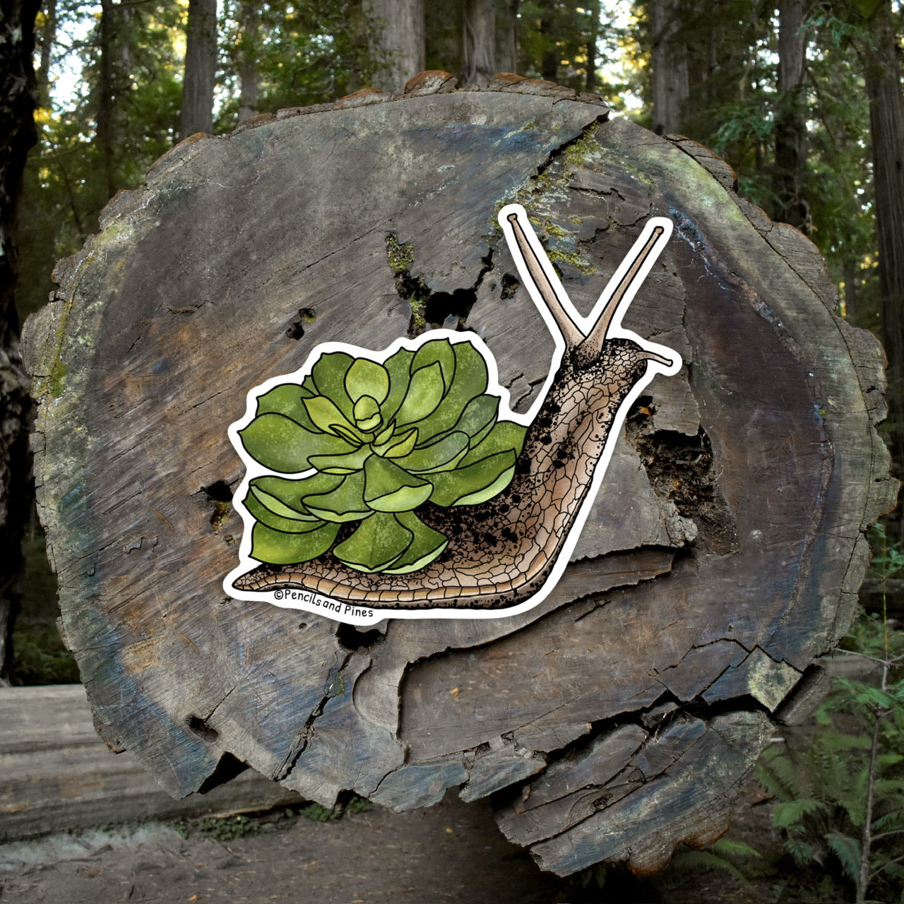 Succulent Snail Sticker