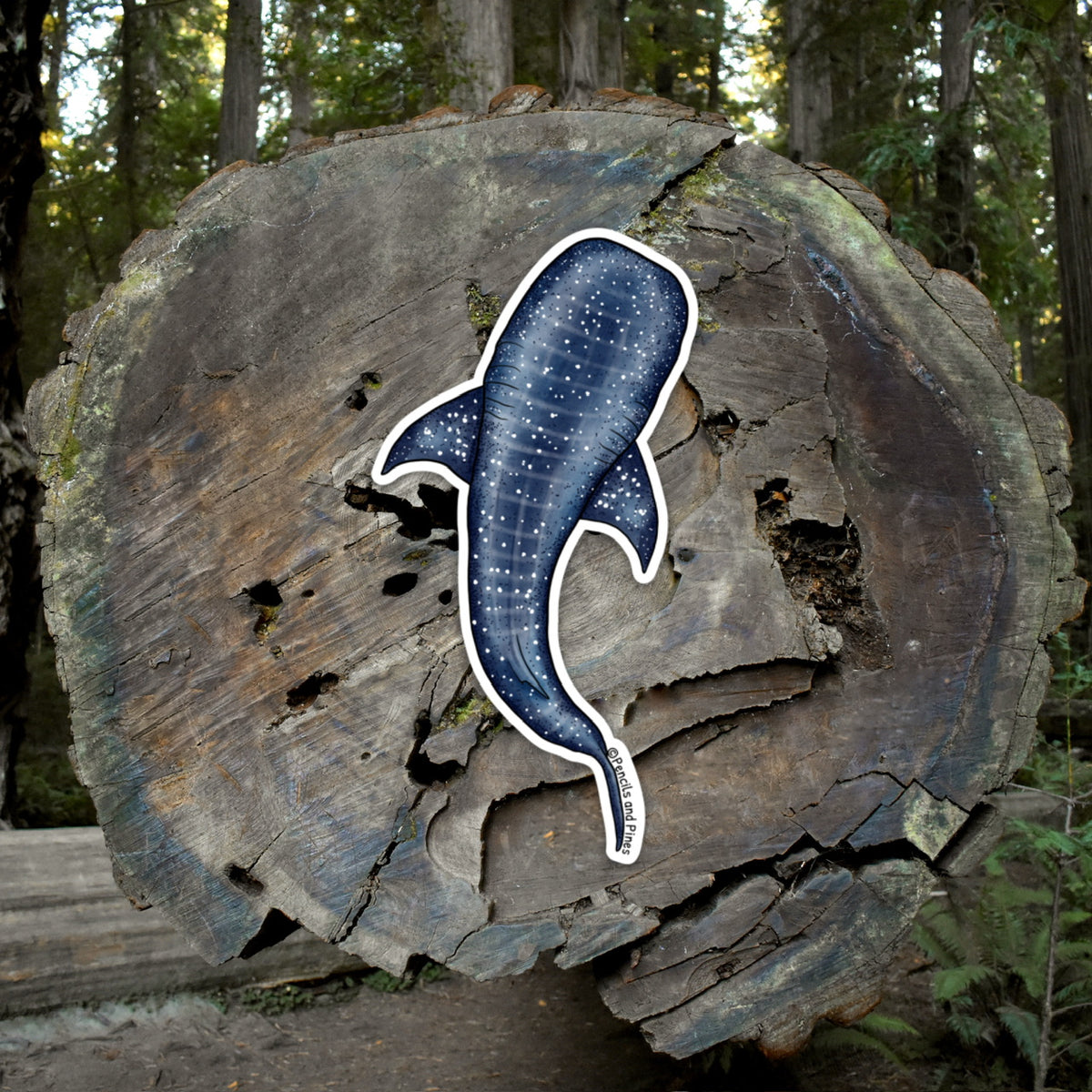 Whale Shark Sticker
