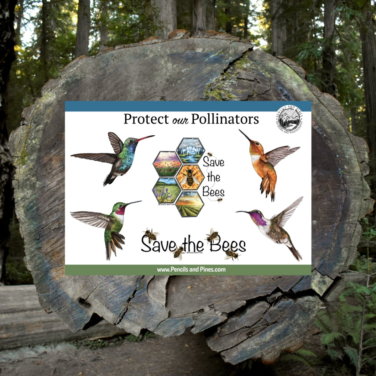 Protect Our Pollinators Sticker Sheet