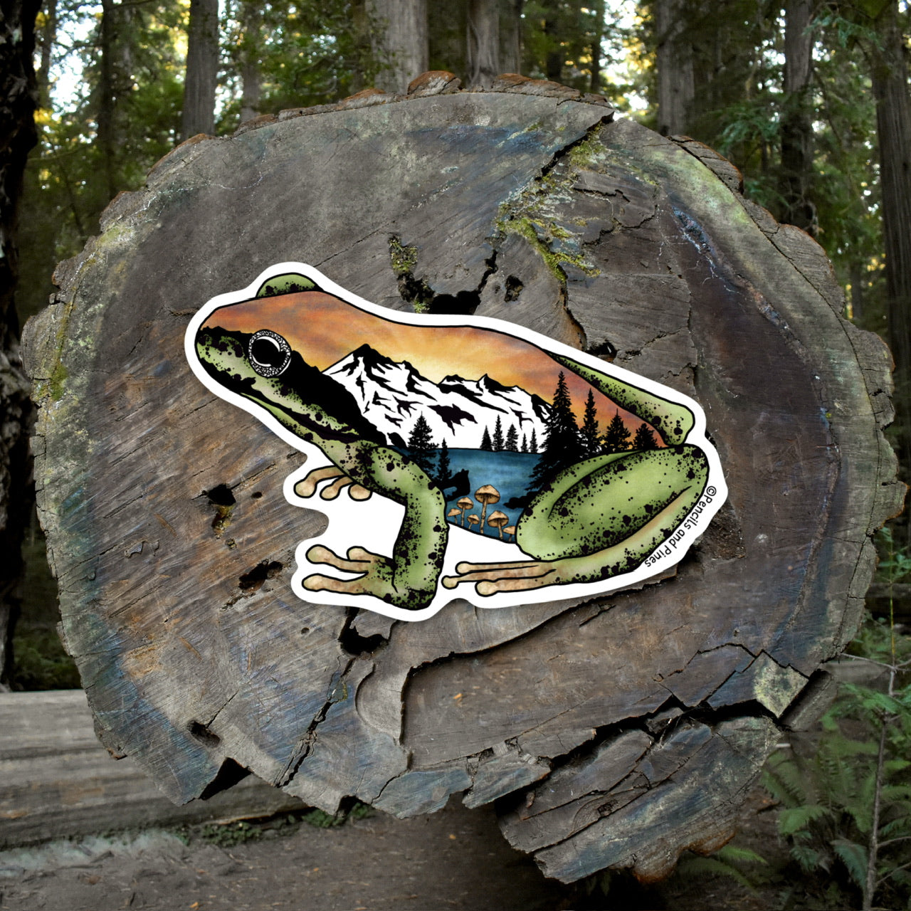 Pacific Tree Frog Sticker