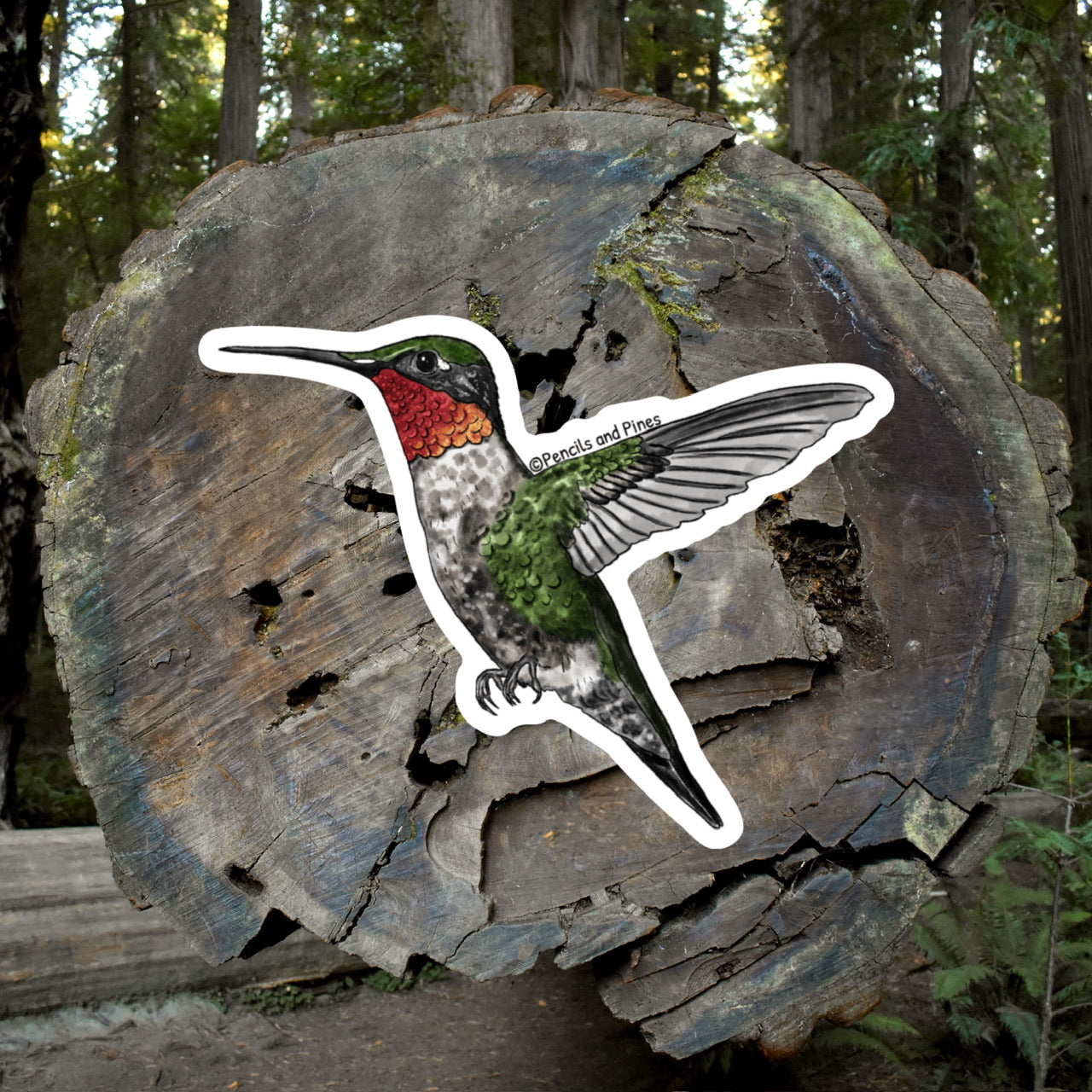 Ruby-Throated Hummingbird Sticker