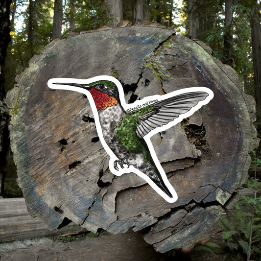 Ruby-Throated Hummingbird Sticker