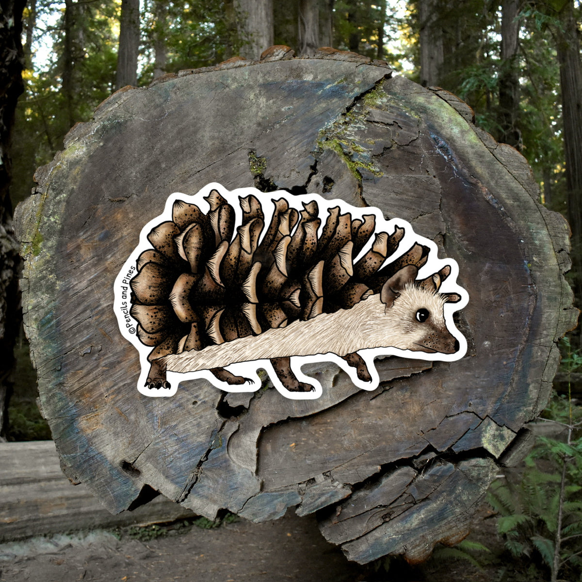 Pinecone Hedgehog Sticker