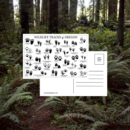 Wildlife Tracks of Oregon Postcard