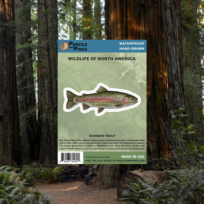 Rainbow Trout Sticker