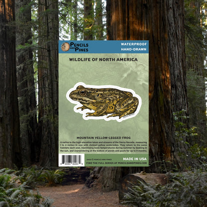Mountain Yellow-Legged Frog Sticker